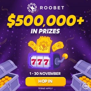  Roobet-november